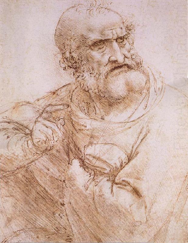 LEONARDO da Vinci Study of an apostle china oil painting image